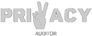 Privacy Auditor