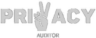 Privacy Auditor