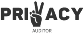 Privacy Auditor