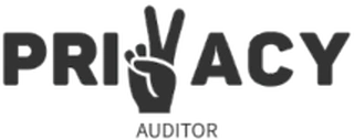 Privacy Auditor